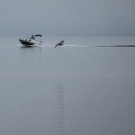 baskaglisergaleb2mal