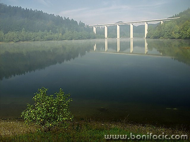travel___Bush With View___Fuzine, Croatia.