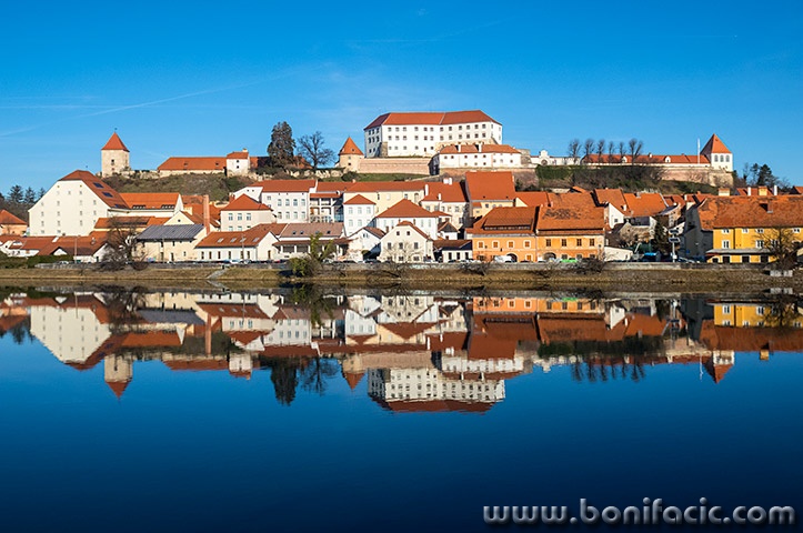 ptuj25mal