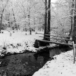 gorskikotarzima110mal