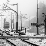 gorskikotarzima45mal