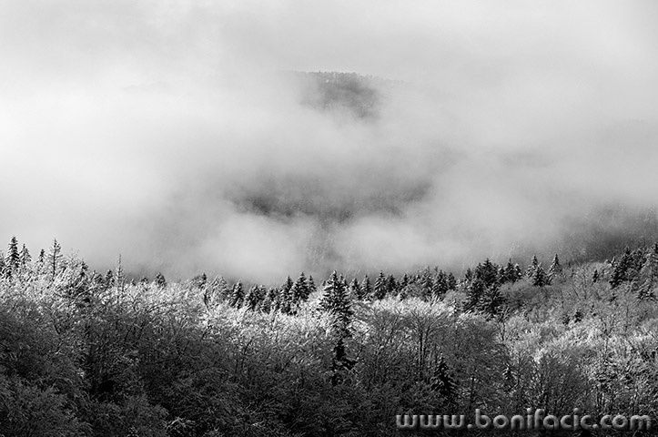 gorskikotarzima71bwmal