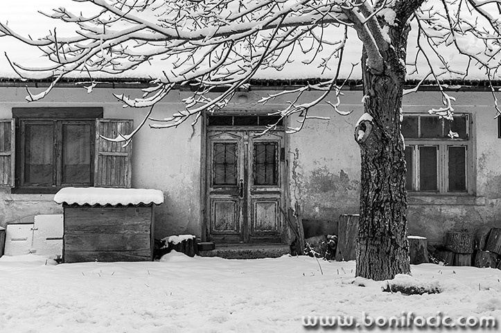 gorskikotarzima51mal