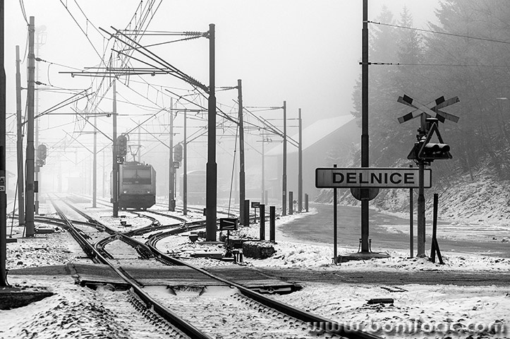 gorskikotarzima45mal