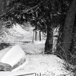 gorskikotarzima18mal