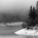 gorskikotarzima25mal