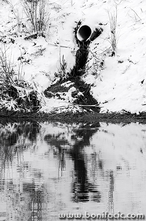 gorskikotarzima16mal