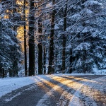 gorskikotarzima13mal