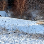 gorskikotarzima30mal