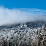 gorskikotarzima50mal