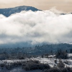 gorskikotarzima61mal