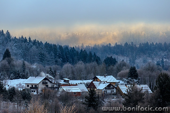 gorskikotarzima31mal