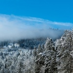 gorskikotarzima73mal