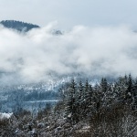 gorskikotarzima80mal