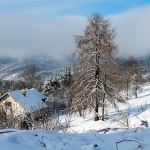 gorskikotarzima90mal