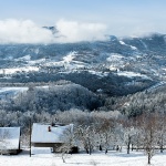 gorskikotarzima92mal