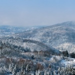 gorskikotarzima95mal