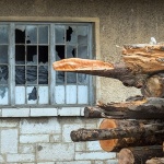 lagerponestradrvajosipdol1mal