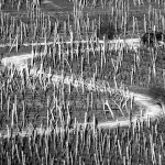 vrbnikpoljecesta5bwmal