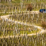 vrbnikpoljecesta5mal