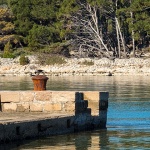 lanternabitavrana1mal