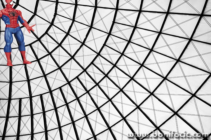 laskothermana6malspidermanmal