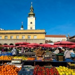 zgfestivalsvjetla7mal