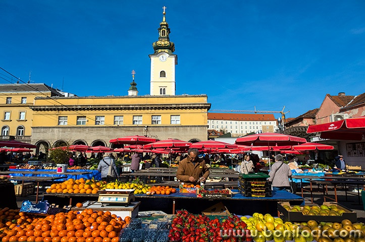 zgfestivalsvjetla7mal