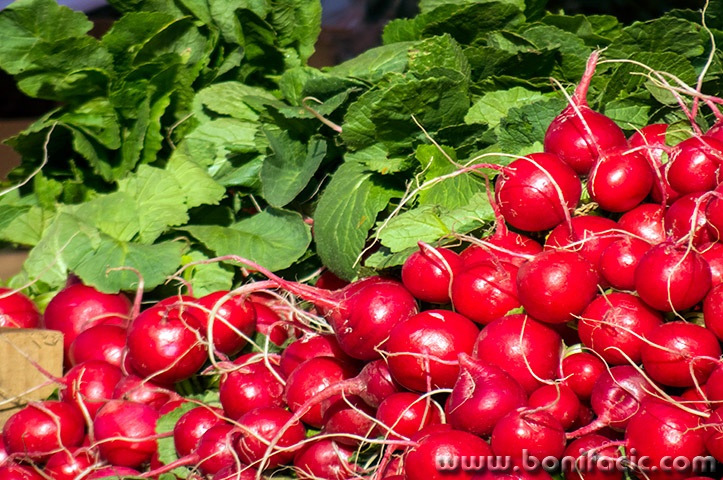 zgfestivalsvjetla6mal