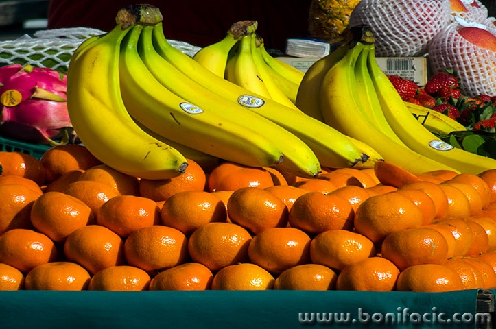 zgfestivalsvjetla8mal