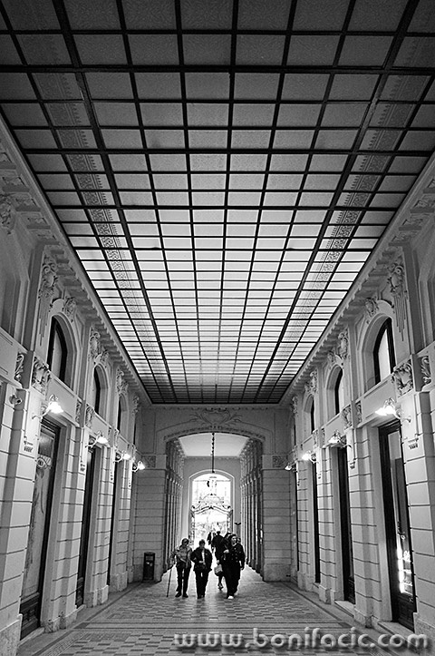 zgfestivalsvjetla250mal