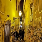 zgfestovalsvjetla107mal