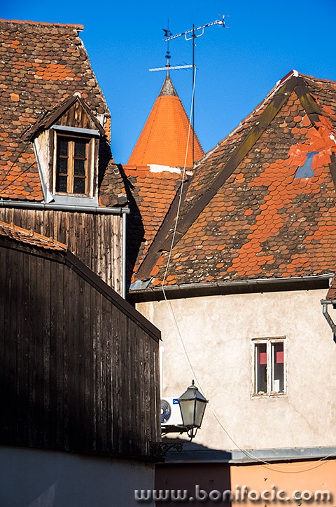 zgfestivalsvjetla83mal