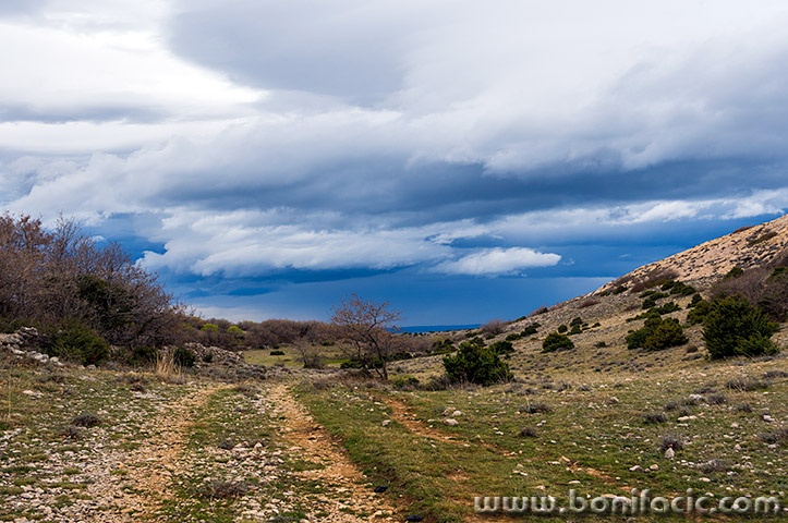 starabaskaclouds21mal