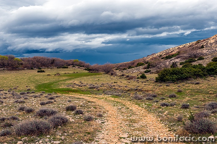 starabaskaclouds18mal