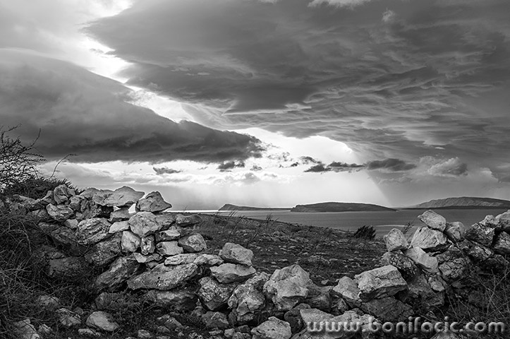 starabaskaclouds10mal