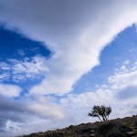 stablooblakstarabaska6mal