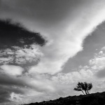 stablooblakstarabaska2mal