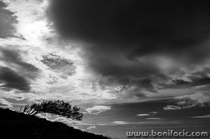 stablooblakstarabaska1mal