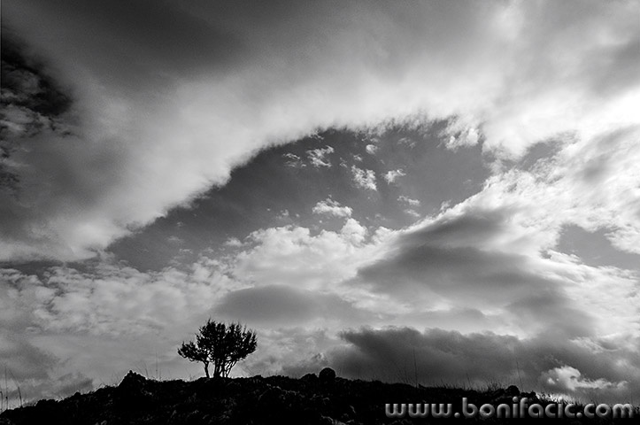 stablooblakstarabaska3mal