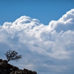 starabaskastablooblaci20mal