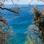 starabaskamorebura1mal