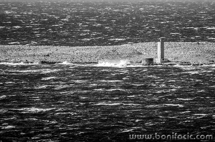 starabaskagalunbura10bwmal