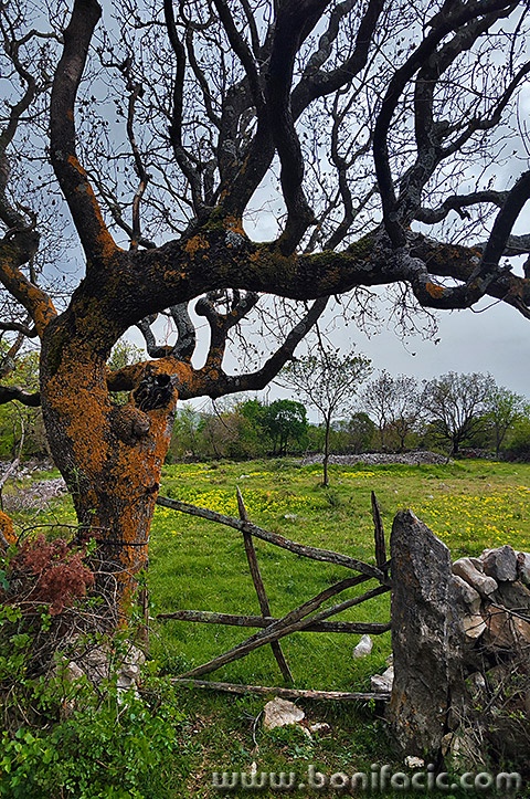 stablogromacazatokakamp1mal