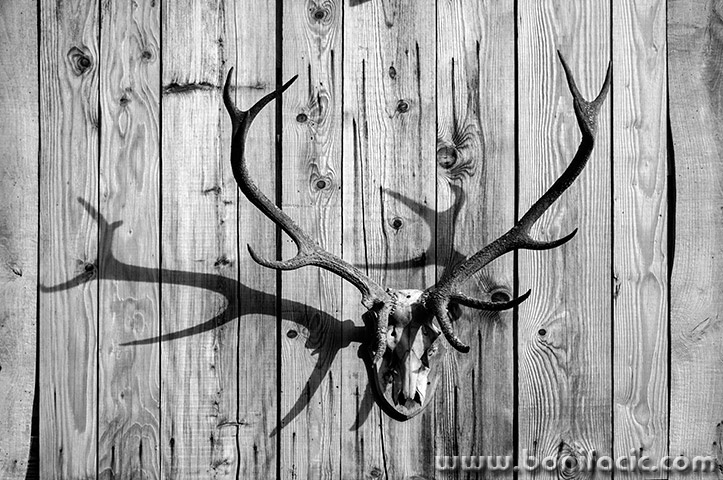 primisljemreznica25bwmal