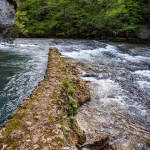 primisljemreznica11mal