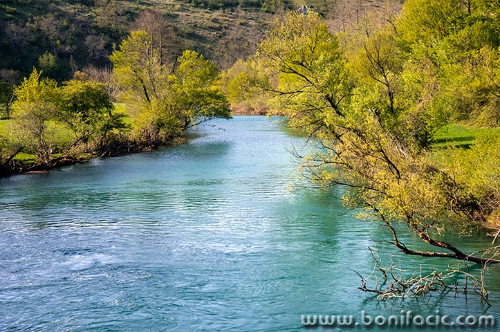 primisljemreznica5mal