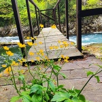 primisljemreznica60mal