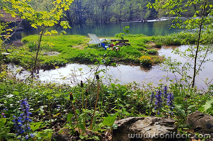 primisljemreznica66mal