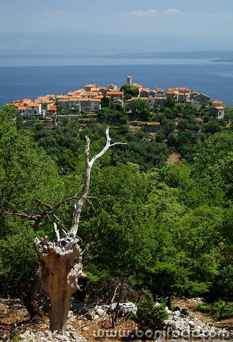 travel___Eagle Nest___Beli, Croatia.